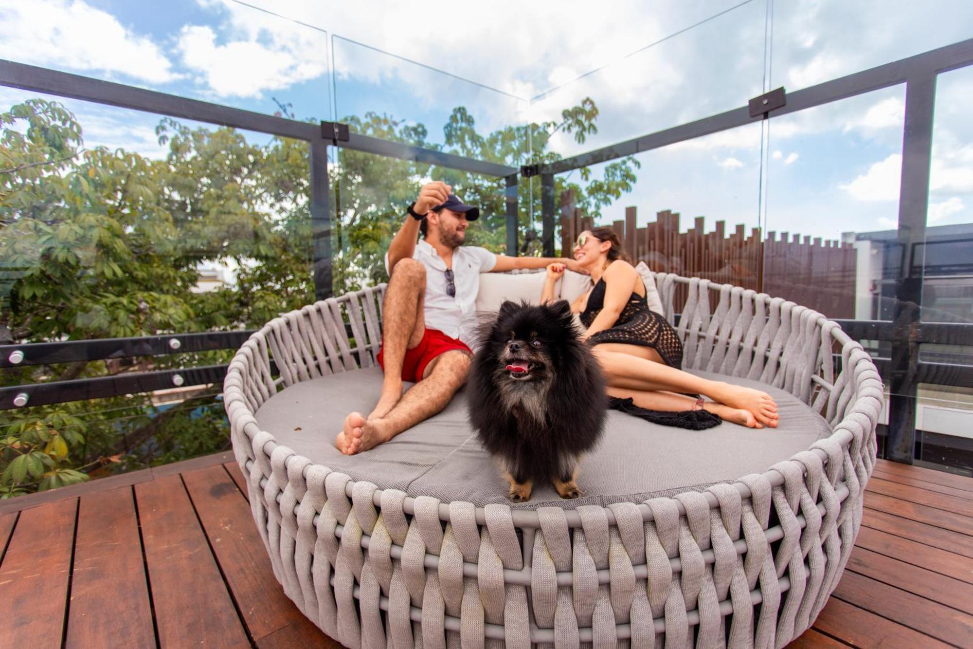 Serenity Hotel Boutique By Alsol Playa del Carmen Zewnętrze zdjęcie